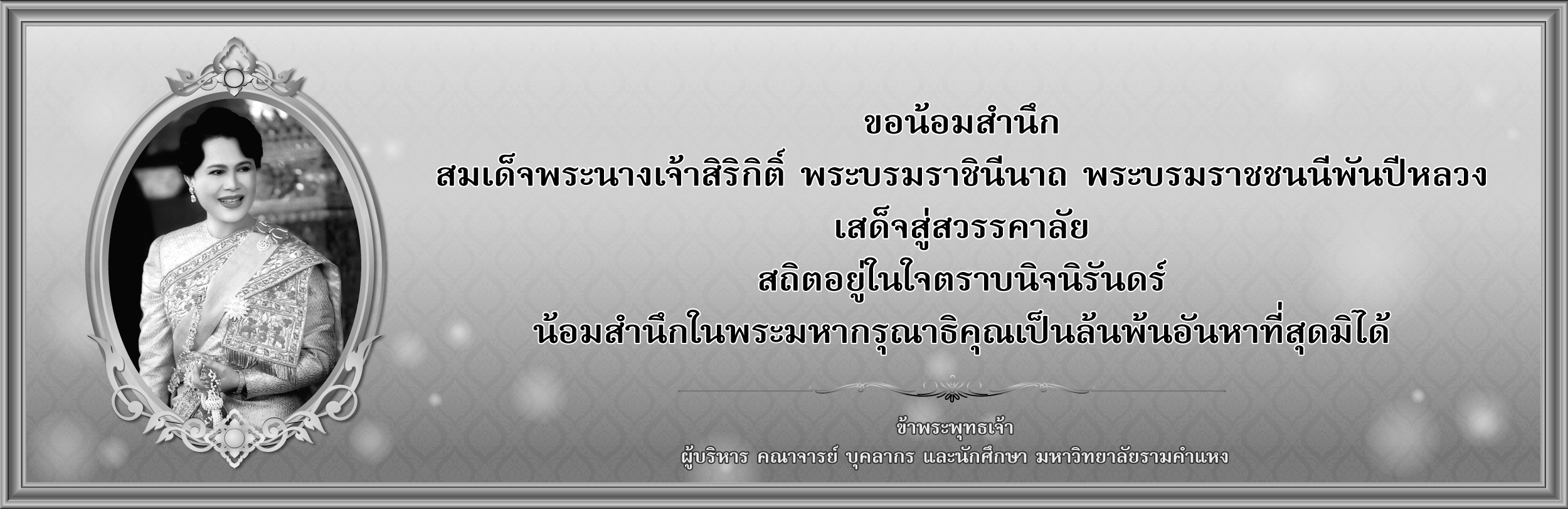 แบนเนอร์ 3