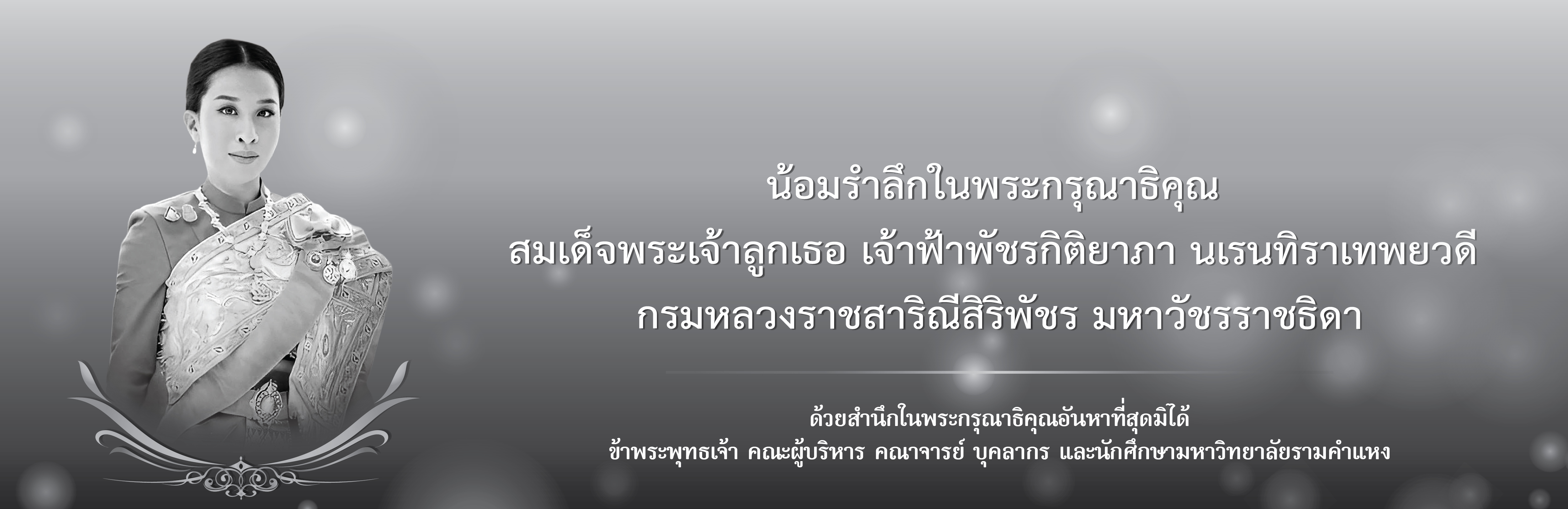 แบนเนอร์ 2